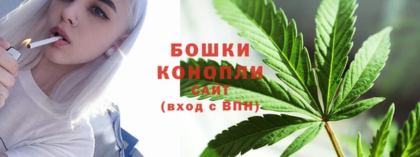 сатива Армянск
