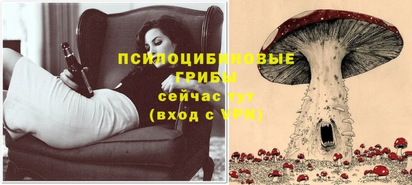 сатива Армянск