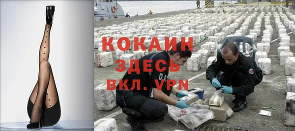 сатива Армянск