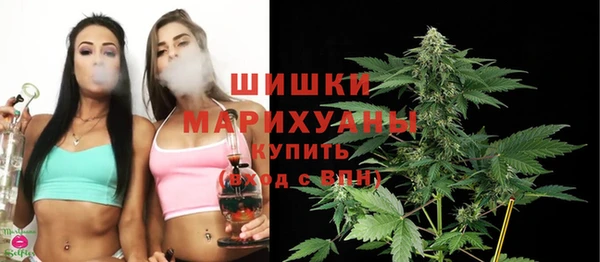 сатива Армянск
