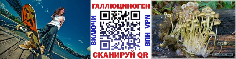 Галлюциногенные грибы Magic Shrooms  OMG как войти  Бакал 